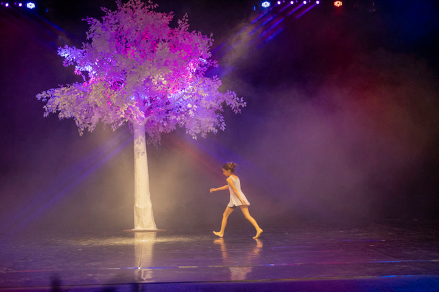 CDanse_Gardanne_2026 (1)